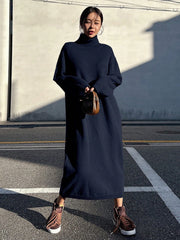 Loose Fitting Turtleneck Dolman Sleeve Sweater Dress