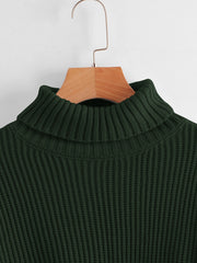 Solid High Neck Lantern Sleeve Sweater