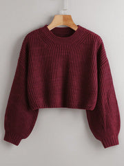Solid Drop Shoulder Crop Sweater