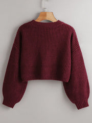 Solid Drop Shoulder Crop Sweater