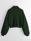 Shein ROMWE Solid High Neck Lantern Sleeve Sweater