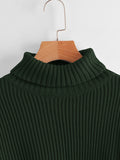 Shein ROMWE Solid High Neck Lantern Sleeve Sweater