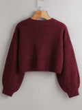 SHEIN Essnce Solid Drop Shoulder Crop Sweater