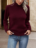 SHEIN Frenchy Women Solid Color Crew Neck Long Sleeve Minimalist Sweater